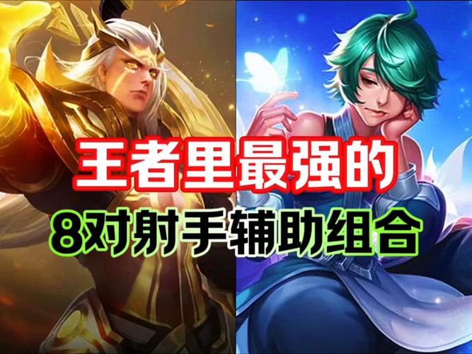 王者荣耀辅助射手攻略男，王者辅助射手还有什么-第5张图片-屿企游戏网