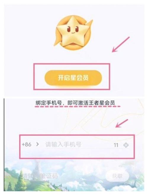 王者荣耀冲会员攻略图_王者荣耀vip在哪充-第5张图片-屿企游戏网