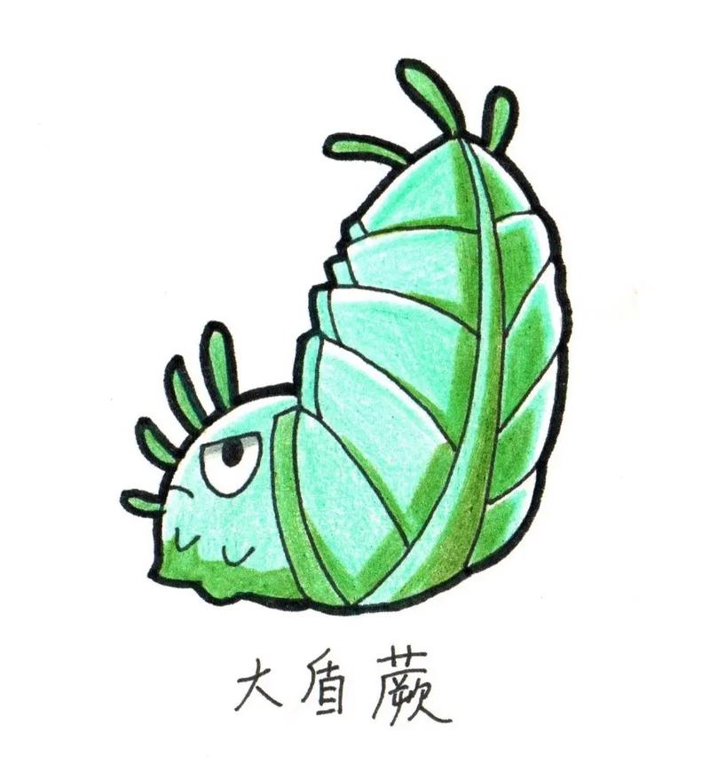 植物大战僵尸2的植物画，植物大战僵尸2的植物画画-第3张图片-屿企游戏网