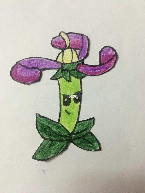 植物大战僵尸2的植物画，植物大战僵尸2的植物画画-第4张图片-屿企游戏网