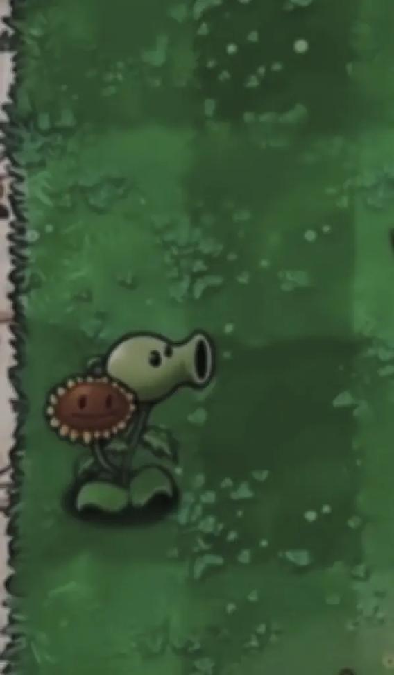 植物大战僵尸向日葵图片_植物大战僵尸向日葵图片头像-第1张图片-屿企游戏网