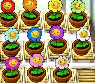 植物大战僵尸金盏花-植物大战僵尸金盏花怎么获得-第4张图片-屿企游戏网