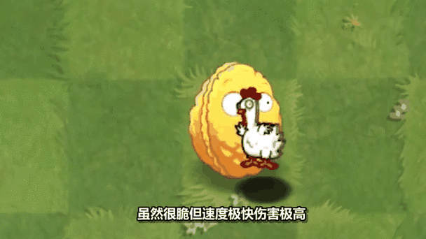 植物大战僵尸2植物图鉴，植物大战僵尸2植物图鉴2024