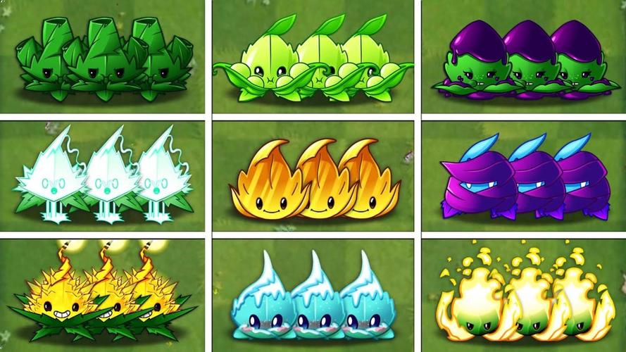 植物大战僵尸中植物-植物大战僵尸中植物简笔画-第4张图片-屿企游戏网