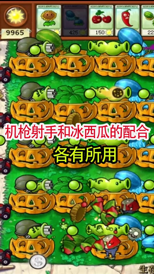 植物大战僵尸1无尽版攻略_植物大战僵尸无尽版攻略女主播-第3张图片-屿企游戏网