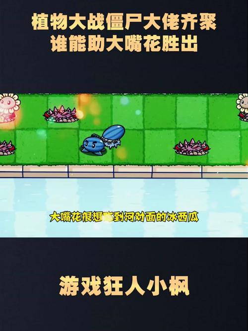 植物大战僵尸出花_植物大战僵尸里面的大花花长什么样-第5张图片-屿企游戏网