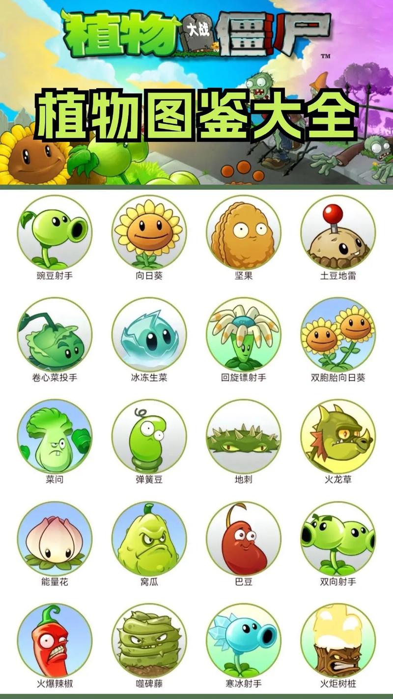 植物大战僵尸2满植物,植物大战僵尸2植物攻略-第4张图片-屿企游戏网 植物大战僵尸2满植物,植物大战僵尸2植物攻略-第4张图片-屿企游戏网