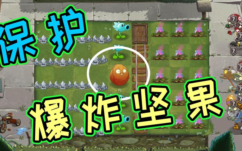 植物大战僵尸坚果包扎术怎么用_植物大战僵尸2坚果包扎术有什么用-第3张图片-屿企游戏网