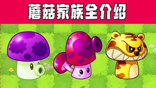 植物大战僵尸里的蘑菇，植物大战僵尸里的蘑菇是干嘛的