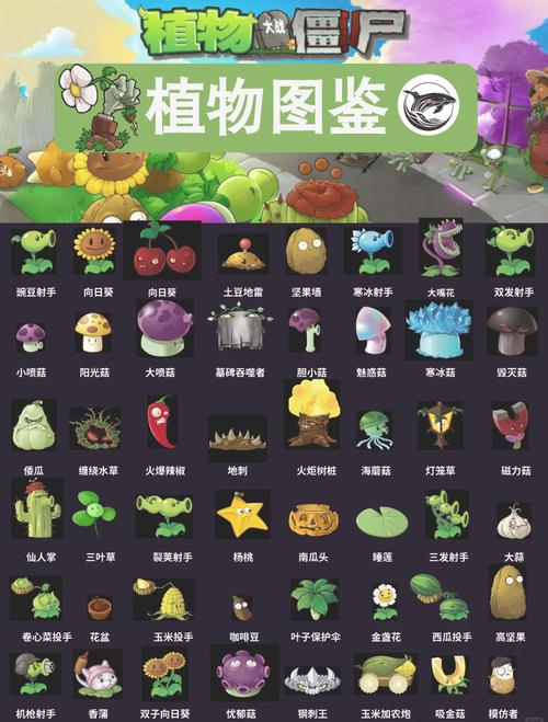 植物大战僵尸ol植物-植物大战僵尸ol植物强度排名-第3张图片-屿企游戏网