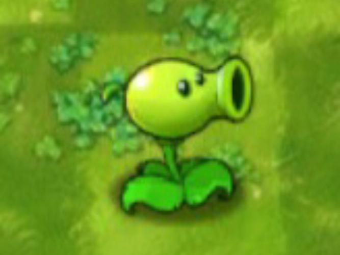 植物大战僵尸的植物列表-植物大战僵尸植物都有什么植物全集-第2张图片-屿企游戏网