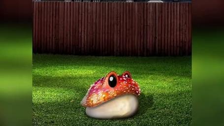 植物大战僵尸2金蟾菇_植物大战僵尸2金蟾菇能吃十阶僵尸吗-第1张图片-屿企游戏网