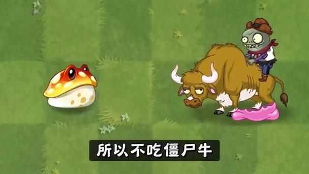 植物大战僵尸2金蟾菇_植物大战僵尸2金蟾菇能吃十阶僵尸吗-第4张图片-屿企游戏网