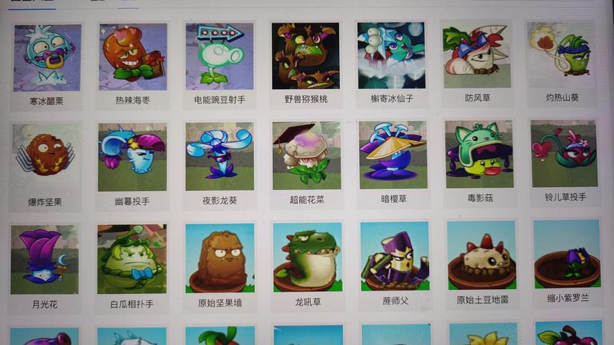 植物大战僵尸植物图鉴-植物大战僵尸植物图鉴高清