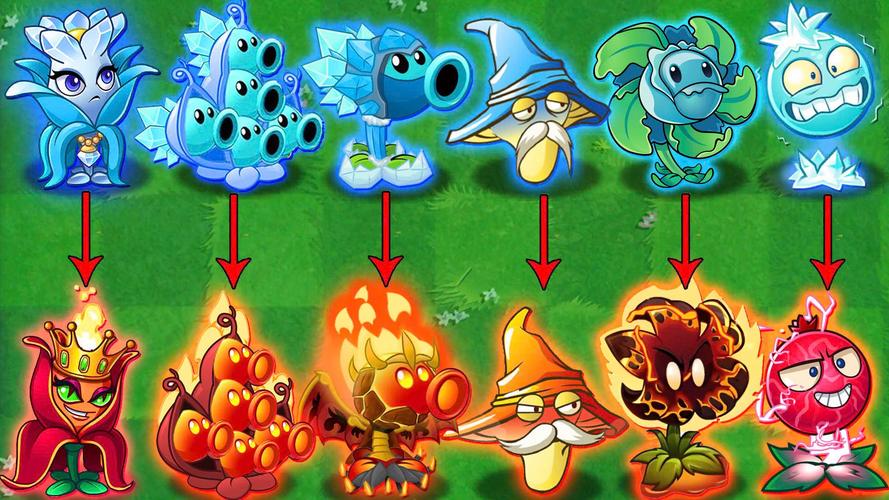 植物大战僵尸所有植物介绍，植物大战僵尸植物介绍脑子射手