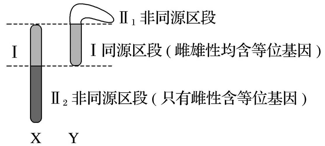 崩坏学院2光明攻略,崩坏学园2光辉之末-第4张图片-屿企游戏网 崩坏学院2光明攻略,崩坏学园2光辉之末-第4张图片-屿企游戏网