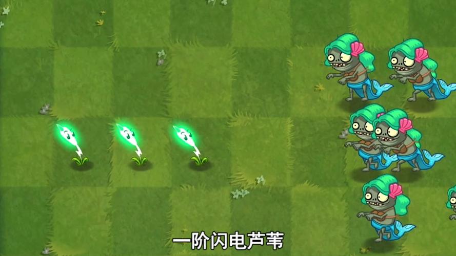 植物大战僵尸2世界版爆炸坚果，植物大战僵尸2世界版小坚果-第4张图片-屿企游戏网