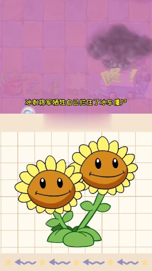 植物大战僵尸2向日葵-植物大战僵尸2向日葵失踪之谜-第2张图片-屿企游戏网 植物大战僵尸2向日葵-植物大战僵尸2向日葵失踪之谜-第2张图片-屿企游戏网