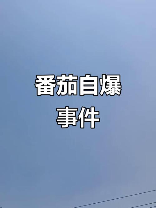 植物大战僵尸阳光番茄_植物大战僵尸里面的阳光番茄-第3张图片-屿企游戏网