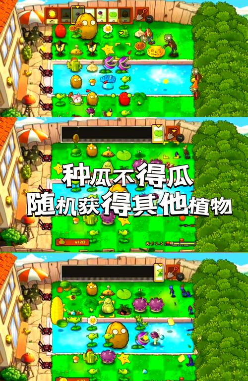 植物大战僵尸怎么玩法_植物大战僵尸怎么玩法教程