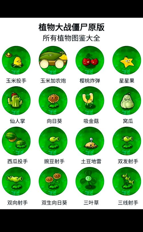 新植物大战僵尸所有植物-植物大战僵尸新僵尸新植物-第3张图片-屿企游戏网
