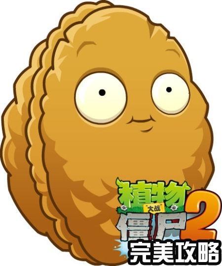 植物大战僵尸爆炸坚果，植物大战僵尸爆炸坚果表情包-第3张图片-屿企游戏网