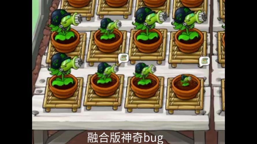 植物大战僵尸禅花园_植物大战僵尸禅花园版下载-第3张图片-屿企游戏网