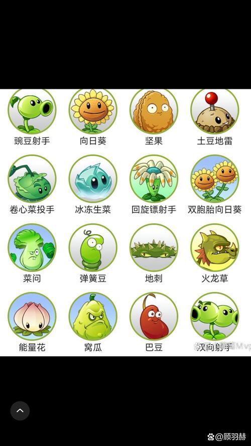 植物大战僵尸2的植物图片，植物大战僵尸2植物图片简笔画-第2张图片-屿企游戏网