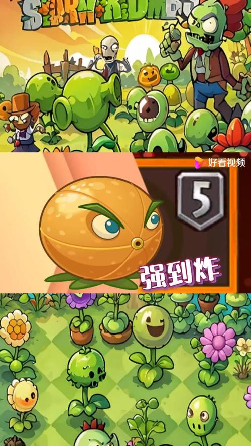 植物大战僵尸2什么植物最实用，植物大战僵尸2啥植物厉害-第2张图片-屿企游戏网