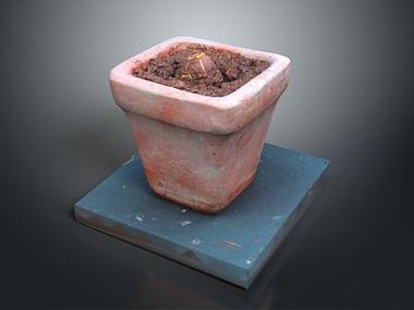 植物大战僵尸道具介绍-植物大战僵尸道具介绍视频-第3张图片-屿企游戏网