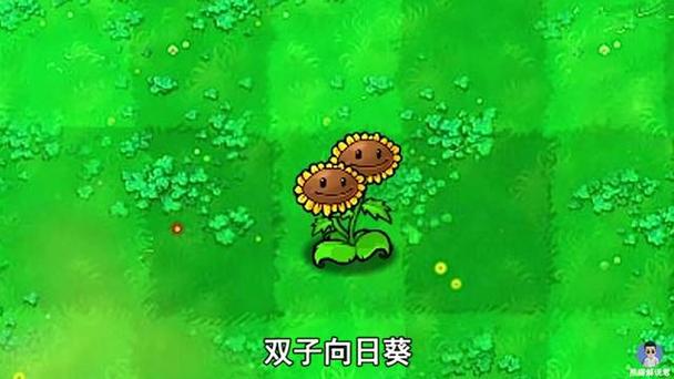 植物大战僵尸2双胞向日葵_植物大战僵尸2双胞向日葵怎么获得-第3张图片-屿企游戏网