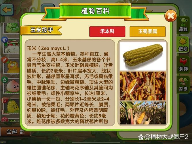 植物大战僵尸世界版植物，植物大战僵尸世界版植物图鉴-第5张图片-屿企游戏网