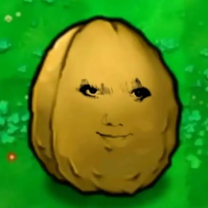 植物大战僵尸植物坚果_植物大战僵尸植物坚果是什么-第3张图片-屿企游戏网