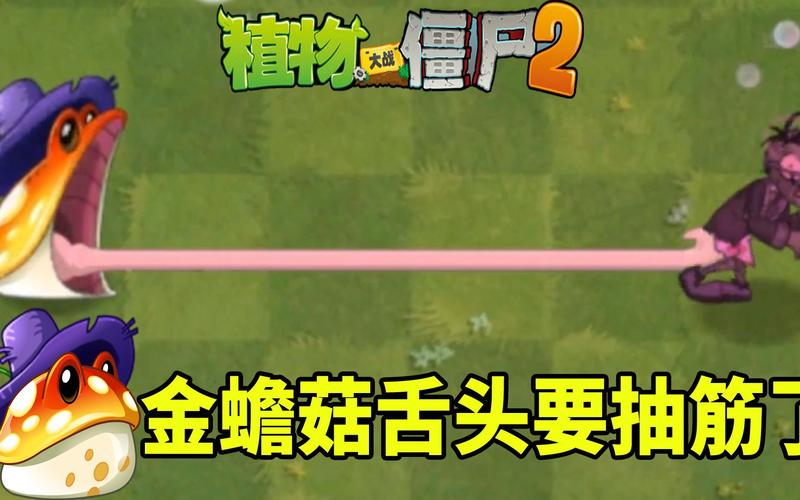 植物大战僵尸金蟾菇_植物大战僵尸金蟾菇有什么用-第2张图片-屿企游戏网
