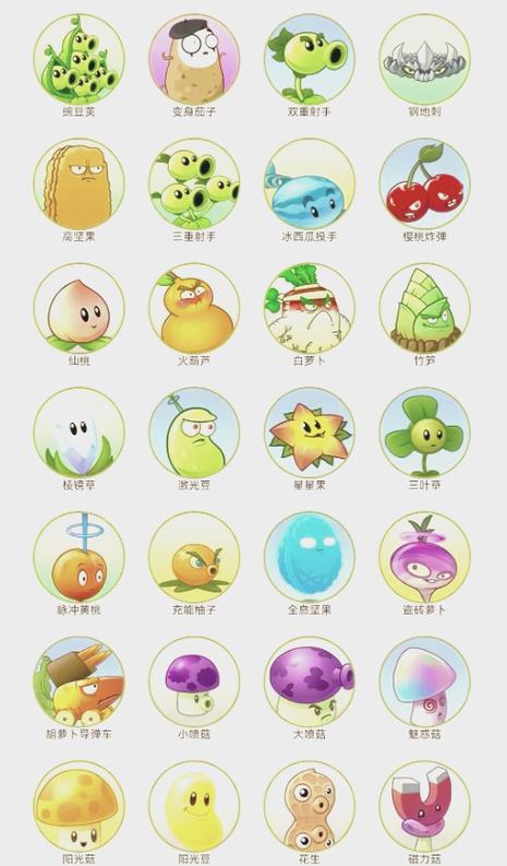 植物大战僵尸植物作用，植物大战僵尸中各个植物的作用-第3张图片-屿企游戏网