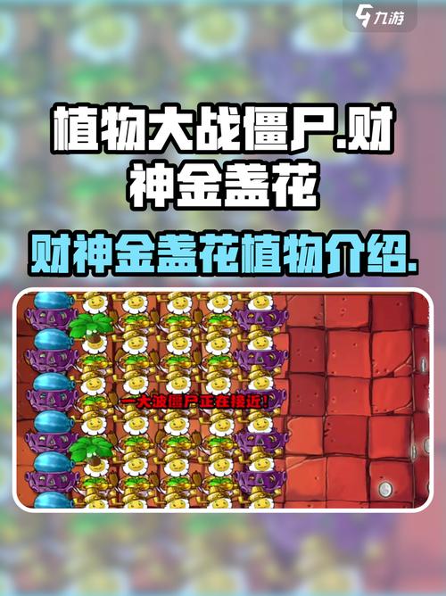 植物大战僵尸2金盏花-植物大战僵尸金盏花有多少种花色-第2张图片-屿企游戏网