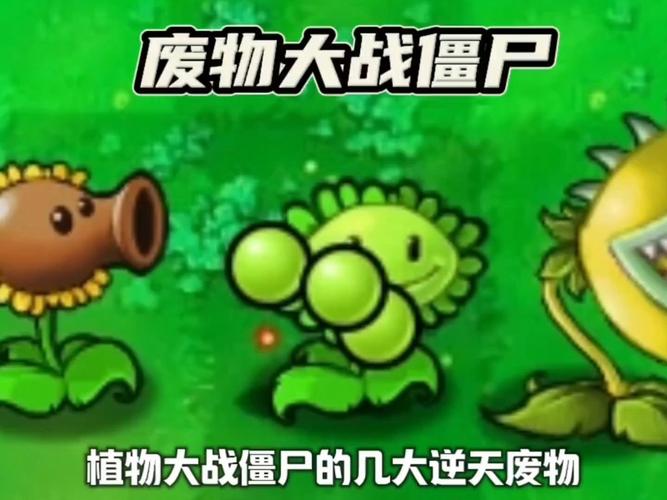 关于植物大战僵尸小说_植物大战僵尸系列小说-第6张图片-屿企游戏网
