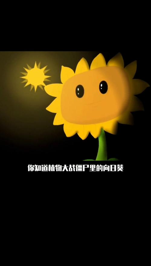 植物大战僵尸金向日葵-植物大战僵尸金向日葵之后还有什么奖励-第3张图片-屿企游戏网