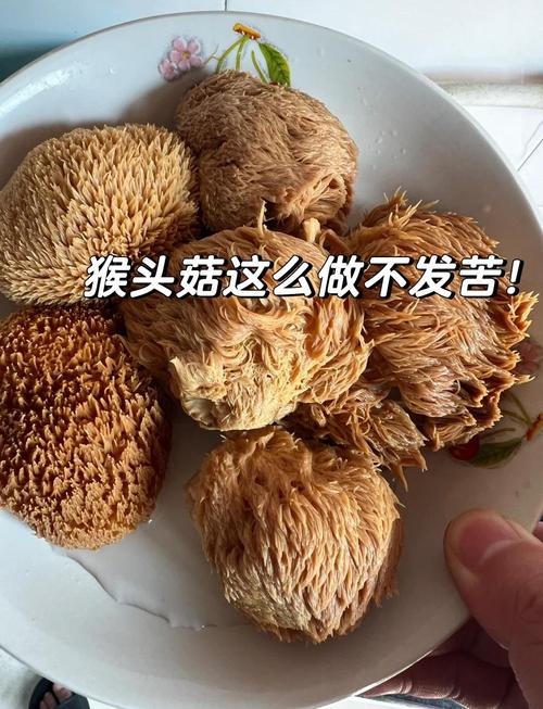 植物大战僵尸2魔术菇怎么得_植物大战僵尸2魔术菇哪里获得-第5张图片-屿企游戏网