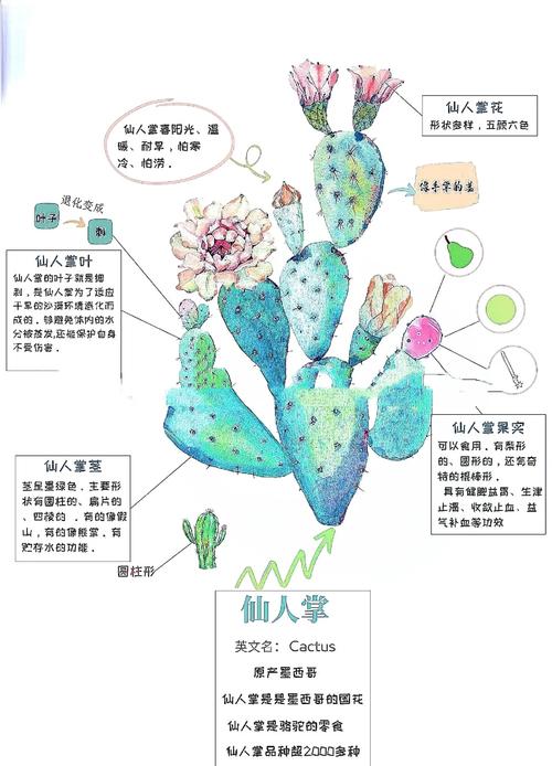植物大战僵尸三阶植物_植物大战僵尸3阶需要多少碎片-第4张图片-屿企游戏网