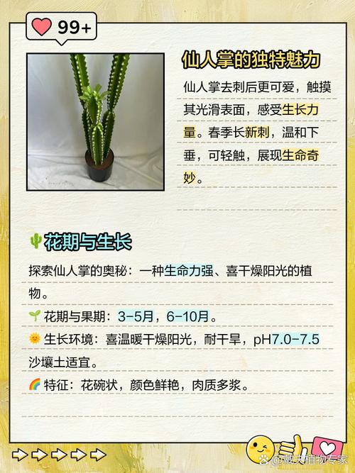 植物大战僵尸2三阶植物，植物大战僵尸三阶植物有哪些-第3张图片-屿企游戏网