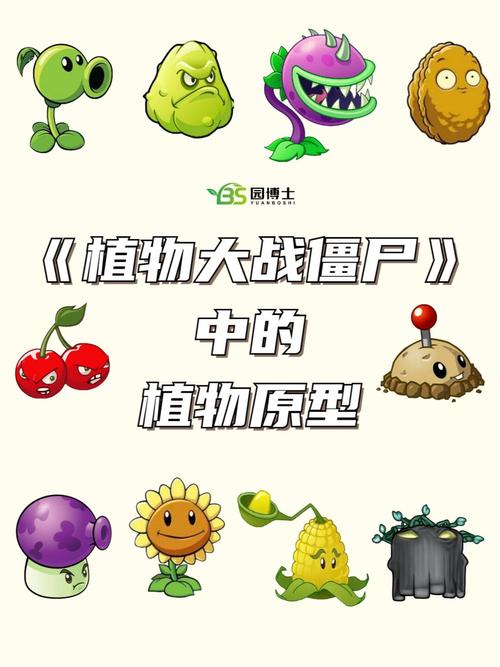植物大战僵尸有什么植物-植物名称大全500种-第2张图片-屿企游戏网