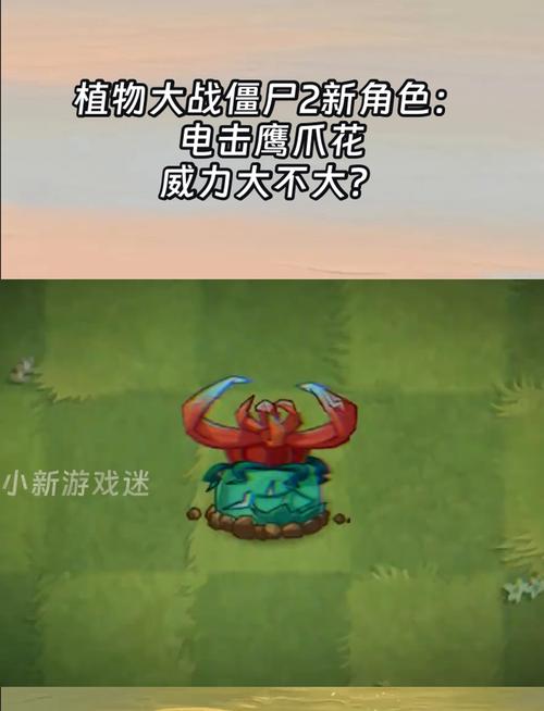 植物大战僵尸花园战争视频，植物大战僵尸花园战争视频仙人掌-第1张图片-屿企游戏网