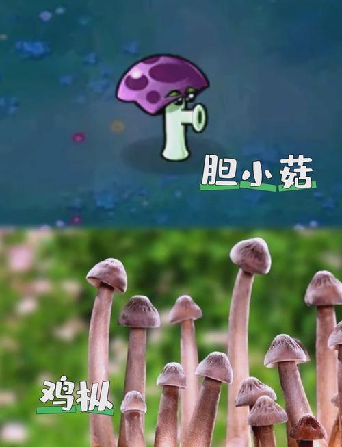 植物大战僵尸忧郁蘑菇_植物大战僵尸忧郁蘑菇攻击范围-第3张图片-屿企游戏网