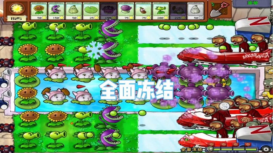 植物大战僵尸全面冻结攻略-植物大战僵尸全面冻结怎么过关视频-第3张图片-屿企游戏网