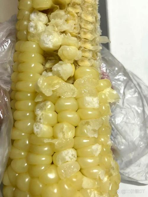 植物大战僵尸毒素僵尸_植物大战僵尸毒素僵尸的版本下载-第4张图片-屿企游戏网