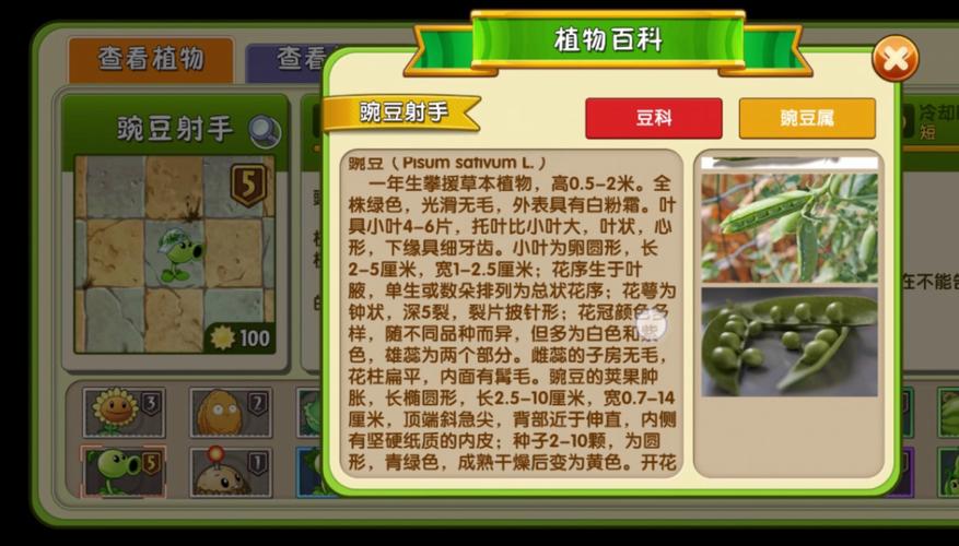植物大战僵尸2有哪些植物，植物大战僵尸2有哪些植物可以配合街机神器-第3张图片-屿企游戏网