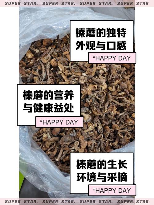 植物大战僵尸2鸡腿菇_植物大战僵尸2菇类大全-第3张图片-屿企游戏网