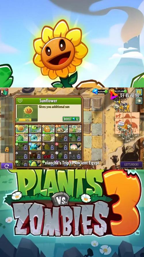 植物大战僵尸神秘植物，植物大战僵尸神秘植物图片-第2张图片-屿企游戏网