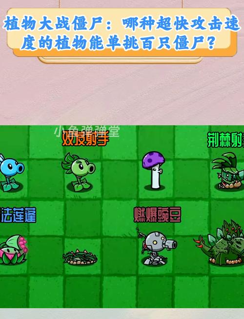 植物大战僵尸植物介绍_植物大战僵尸植物介绍列表-第3张图片-屿企游戏网
